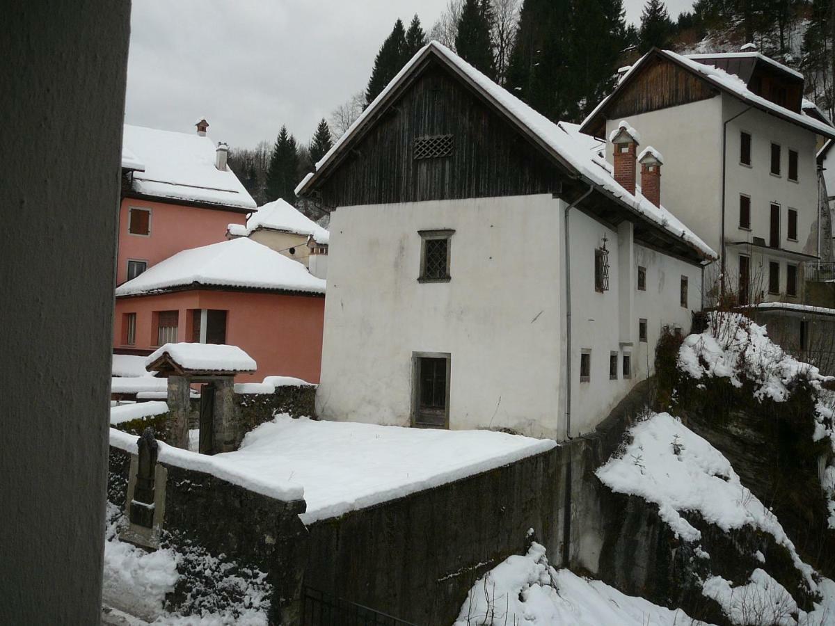 Casa Screm - Appartamenti E Camere -Rigolato - Ud Eksteriør billede